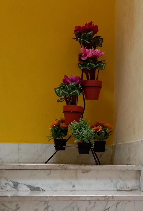 Nana' Bed & Breakfast Orsogna Bagian luar foto